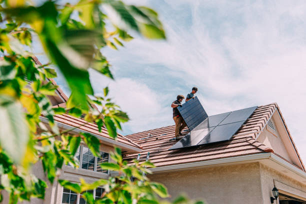 Best Roof Moss and Algae Removal  in Winnie, TX