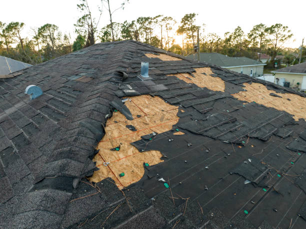 Best Hot Roofs  in Winnie, TX
