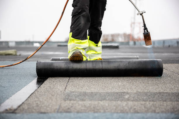 Best Asphalt Shingles Roofing  in Winnie, TX