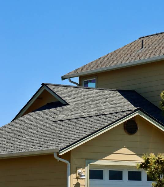 Best Roof Insulation Installation  in Winnie, TX